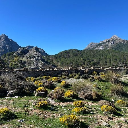 El Endrinal Διαμέρισμα Grazalema Εξωτερικό φωτογραφία