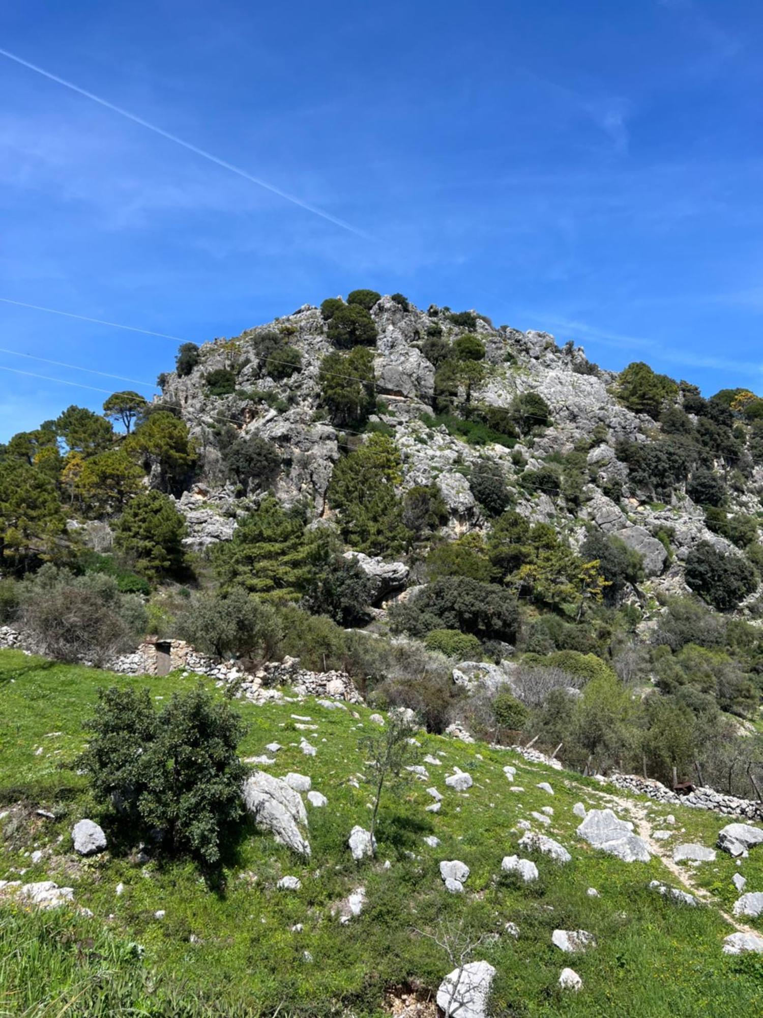 El Endrinal Διαμέρισμα Grazalema Εξωτερικό φωτογραφία