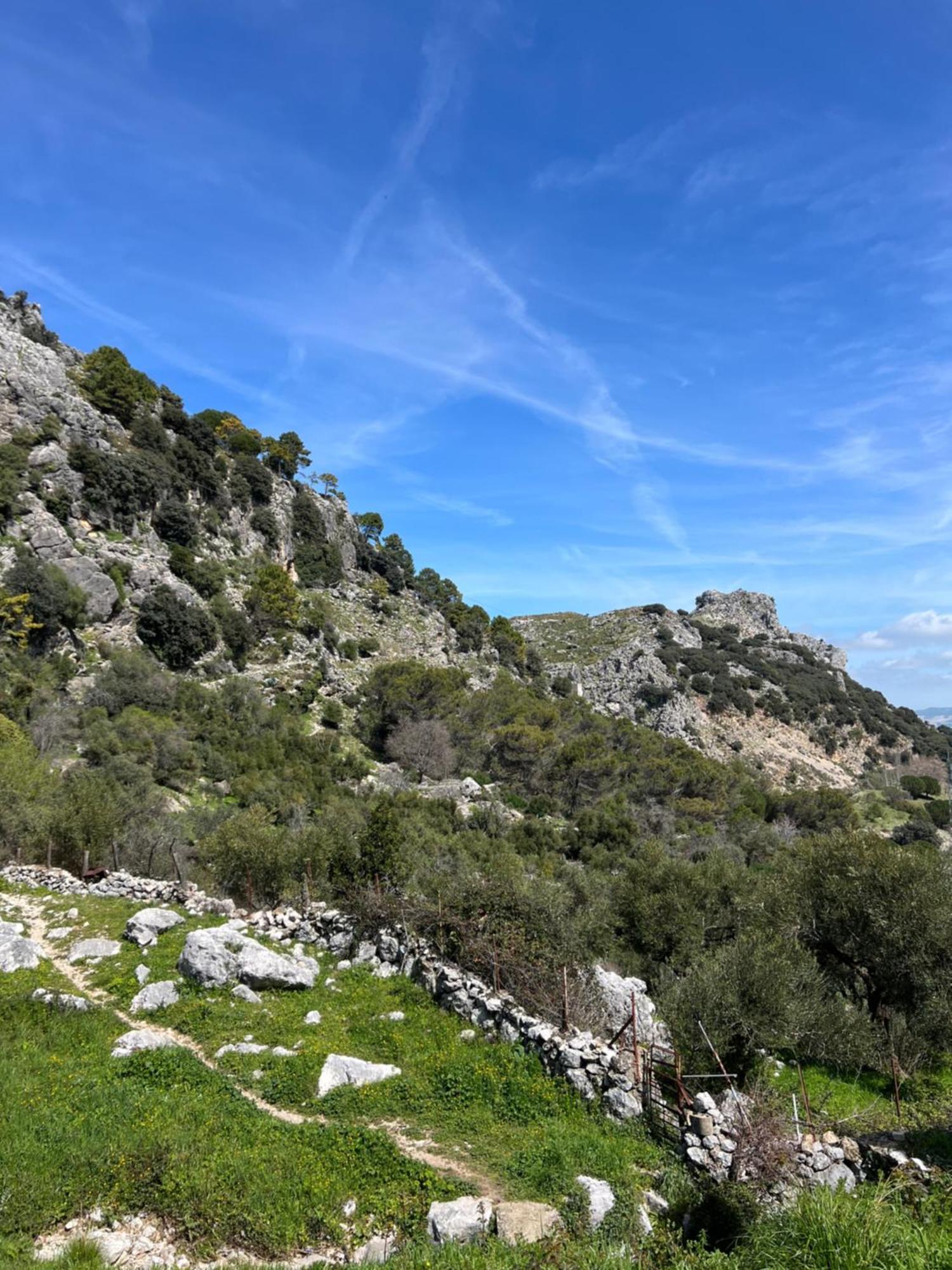 El Endrinal Διαμέρισμα Grazalema Εξωτερικό φωτογραφία