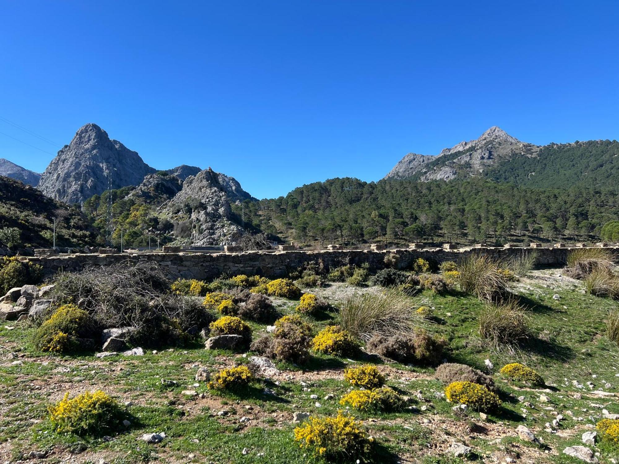 El Endrinal Διαμέρισμα Grazalema Εξωτερικό φωτογραφία